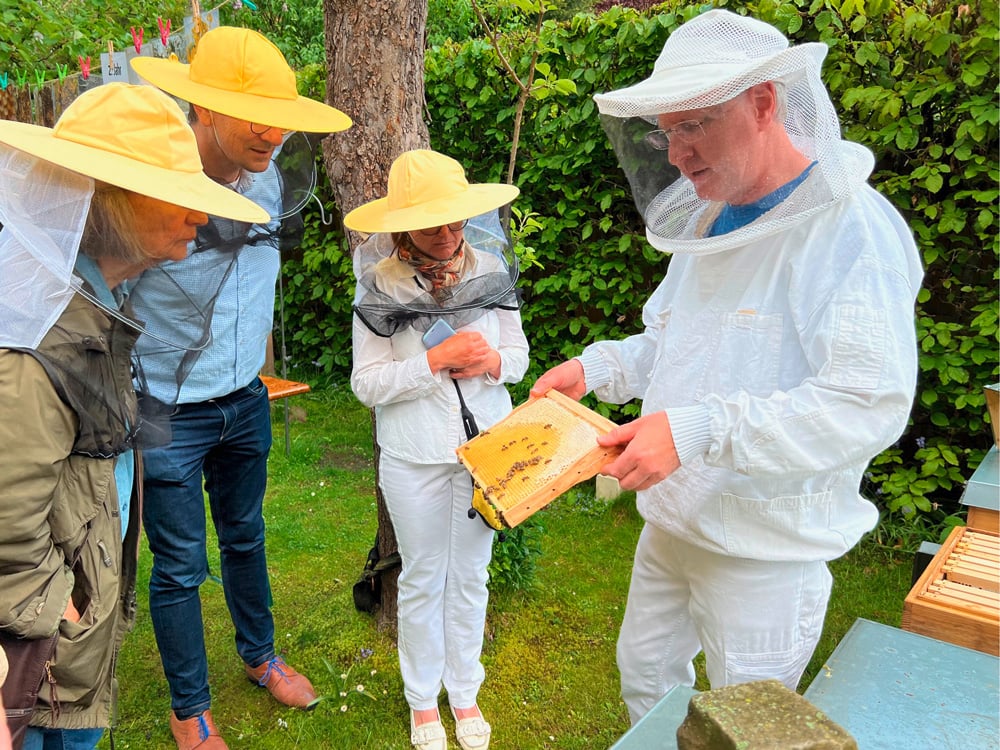Exkursion Honigbienen in der Stadt