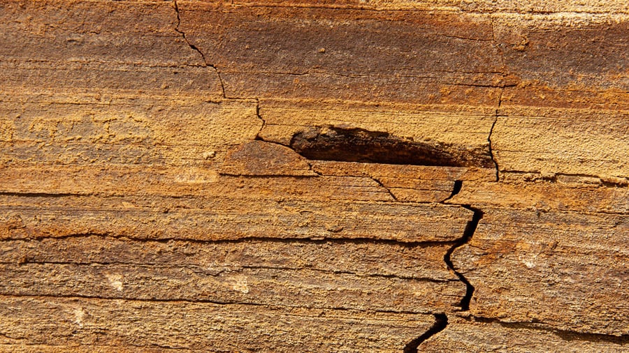 Exkursion Ölschiefer Foto 3