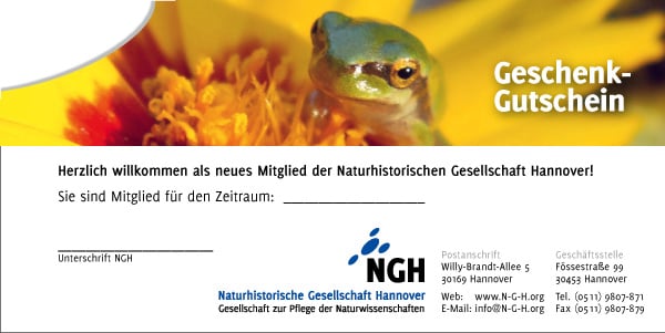 Gutschein-Motiv 2 „Frosch“