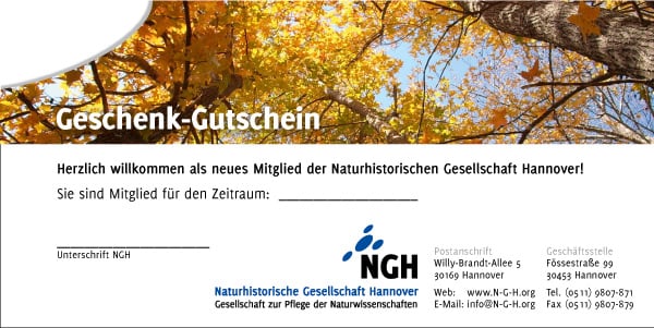 Gutschein-Motiv 3 „Baumkronen“