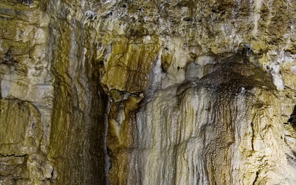 Die Höhlen bei Hagen/Bad Pyrmont. Ihre Gefährdung durch Verfüllung.