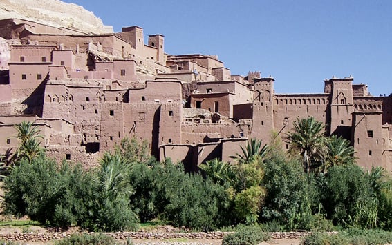 Bericht über die Marokko-Exkursion 2009 der Naturhistorischen Gesellschaft Hannover 2009