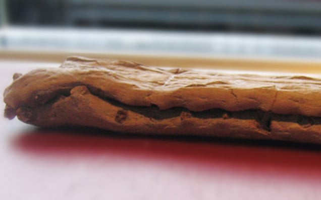 Das Meereskrokodil Steneosaurus aus dem Oberen Jura Hannovers. Schädelelemente und Osteoderme der „Sammlung Struckmann.